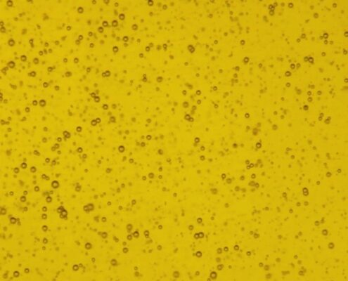 Quinta-do-Vallado-olive-oil-2